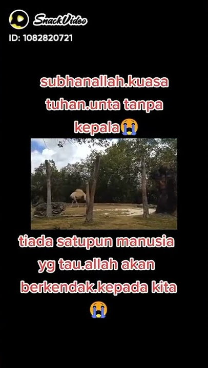 Unta tanpa kepala..