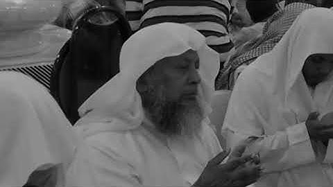 سورة هود - ( وَقَالَ ٱرۡكَبُواْ فِيهَا بِسۡمِ ٱللَّهِ مَجۡر۪ىٰهَا وَمُرۡسَىٰهَآۚ  ) - محمد أيوب