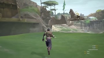 Absolver Glitches and AI weirdness (1.05) (re-u)