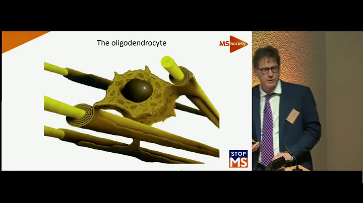Watch: Stop MS - Research Lecture 2018 - Professor Robin Franklin