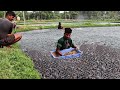 Nutrisi dan Pakan Ikan Lele Hibrida yang Dibesarkan di Kolam |Nutrition and Feeding Pond-Raised fish