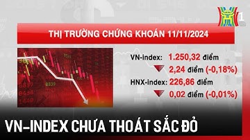 Chứng khoán ngày 11/11: VN-Index chưa thoát sắc đỏ | Tin tức