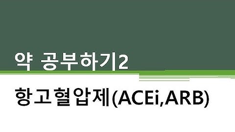 약 공부하기2 항고혈압제 ACEi ARB