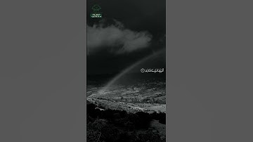 سورة الضحى • مكية • بصوت ياسر الدوسري | عدد الآيات: 11 #قرآن #Quran #تلاوة #قرآن_كريم #الضحى