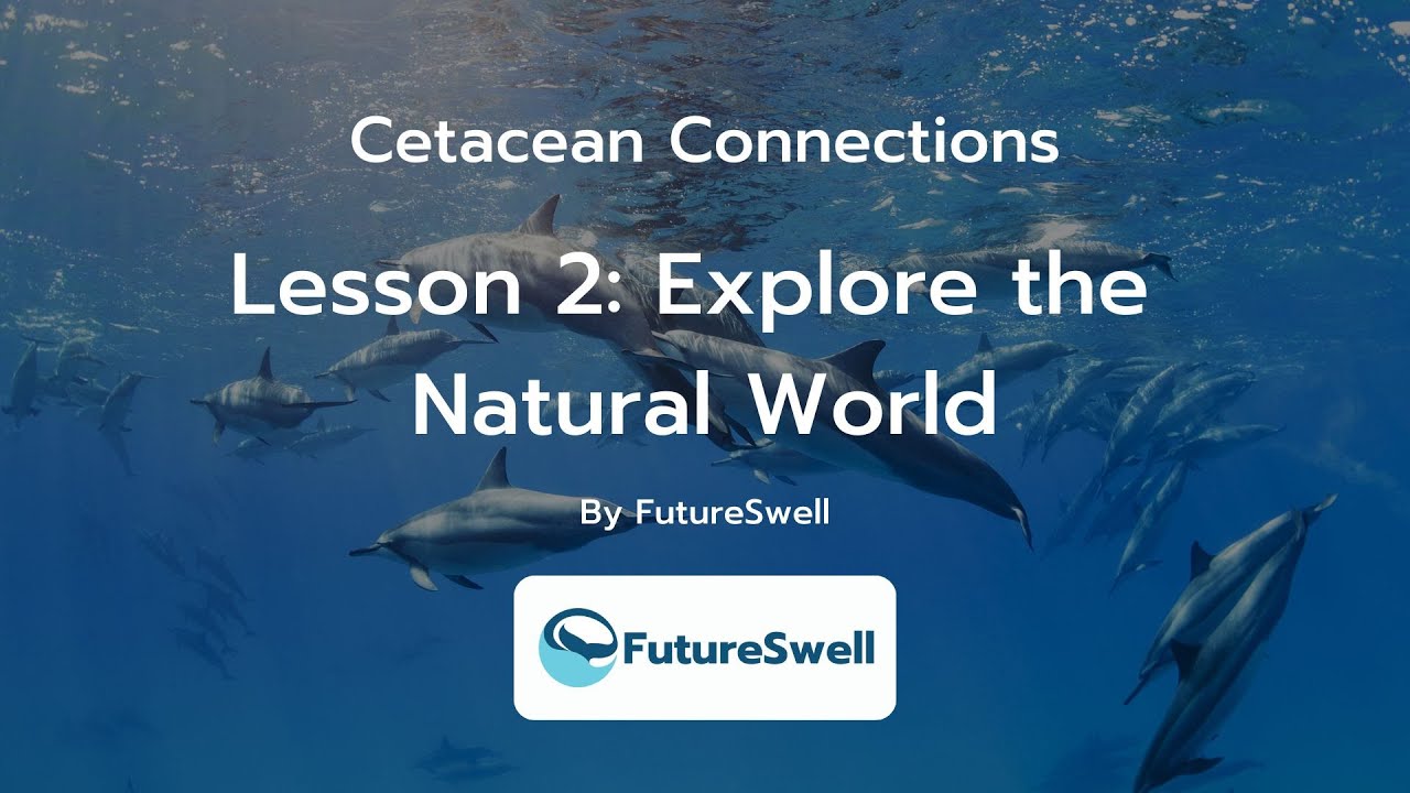 Lesson 2: Explore the Natural World | Cetacean Connections