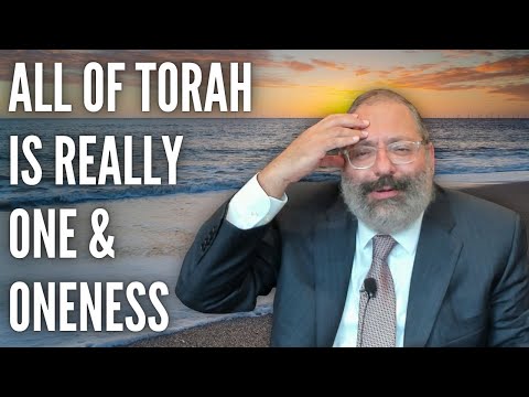 Rabbi YY Jacobson: When Moshe Hit the Rock, Oneness Became Fragmented