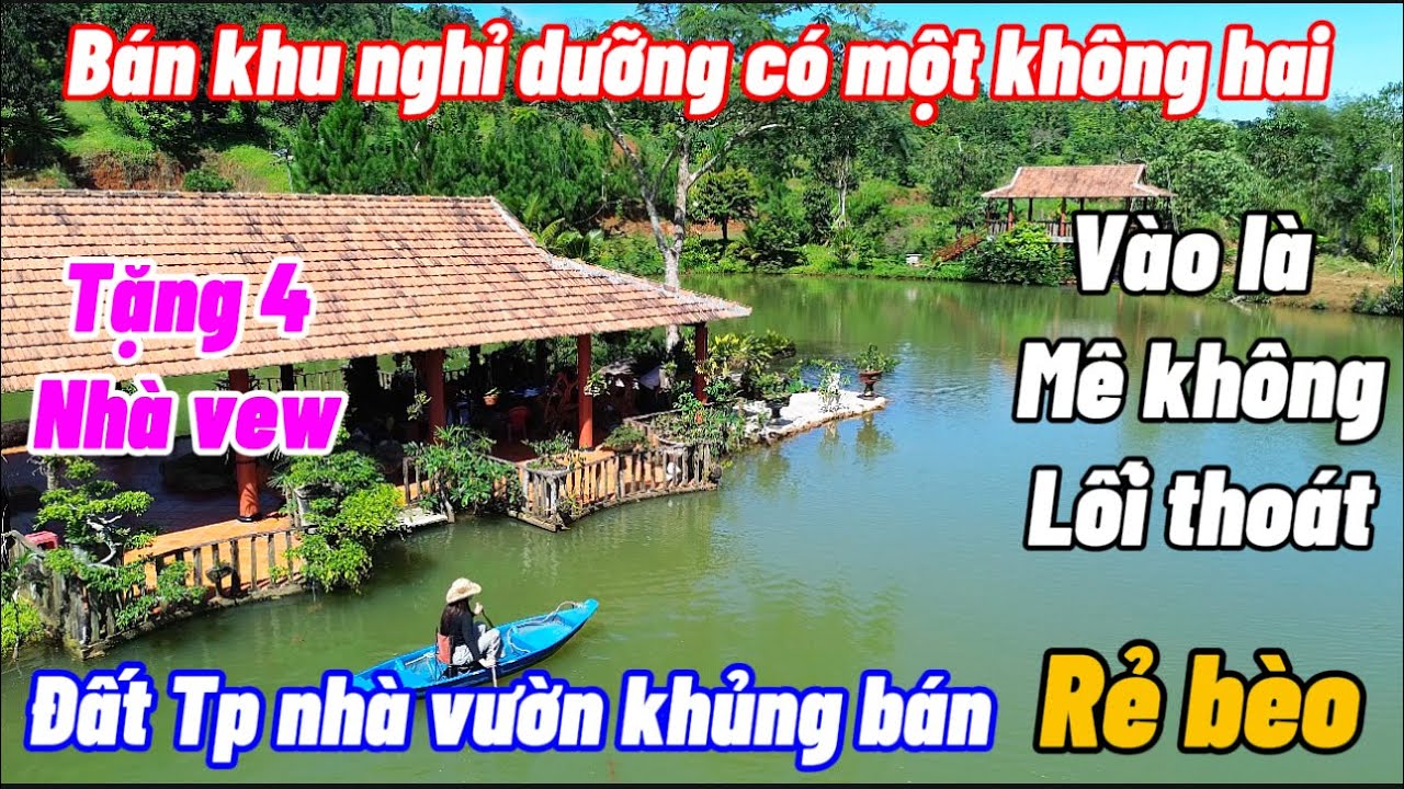 Tặng 10 năm tuổi thọ trên khu nghỉ dưỡng đẹp như tranh .Tâm huyết lắm nhưng cần tiền buộc lòng bán