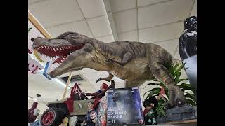 The Toymintor at the Consumers Mall Owensboro Kentucky