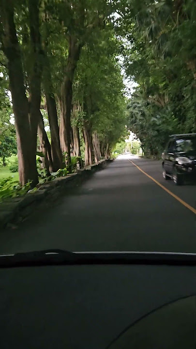 Nature Road 🇧🇲