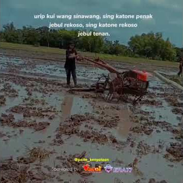 story WA wong tani #petanimuda #traktorsawah #storywa