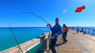 Walked To The End Of The Gulf Pier And Caught This