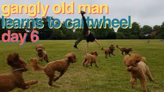Gangly Old Man Learns to Cartwheel (Day 6)