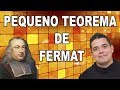 🔴 MATEMÁTICA SUPERIOR #27 (PEQUENO TEOREMA DE FERMAT)