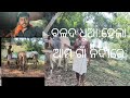 Gna Re Balada Dhoiba Maja Gna Nadi Re Balada Dhuaa Youtube Villagelife Odiavlogs