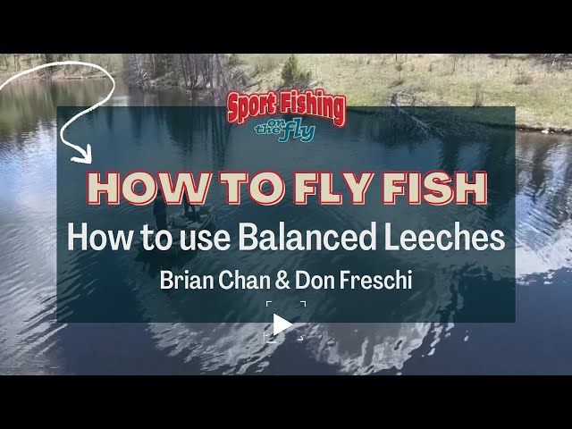 FLY FISHING: HOW TO USE BALANCED LEECHES - BRIAN CHAN & DON FRESCHI 