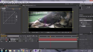 After Effects CS6 The Cinematic Look