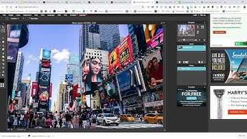 Pixlr Editor Picture Effects with ther Filter and Adjustment Tabs