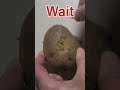 Paper Clip Potato Peeling Fail