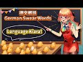 【vtuber中文】火雞老師的德文髒話教學【Takanashi Kiara】Frau Kiara Teaching us German Swear Words