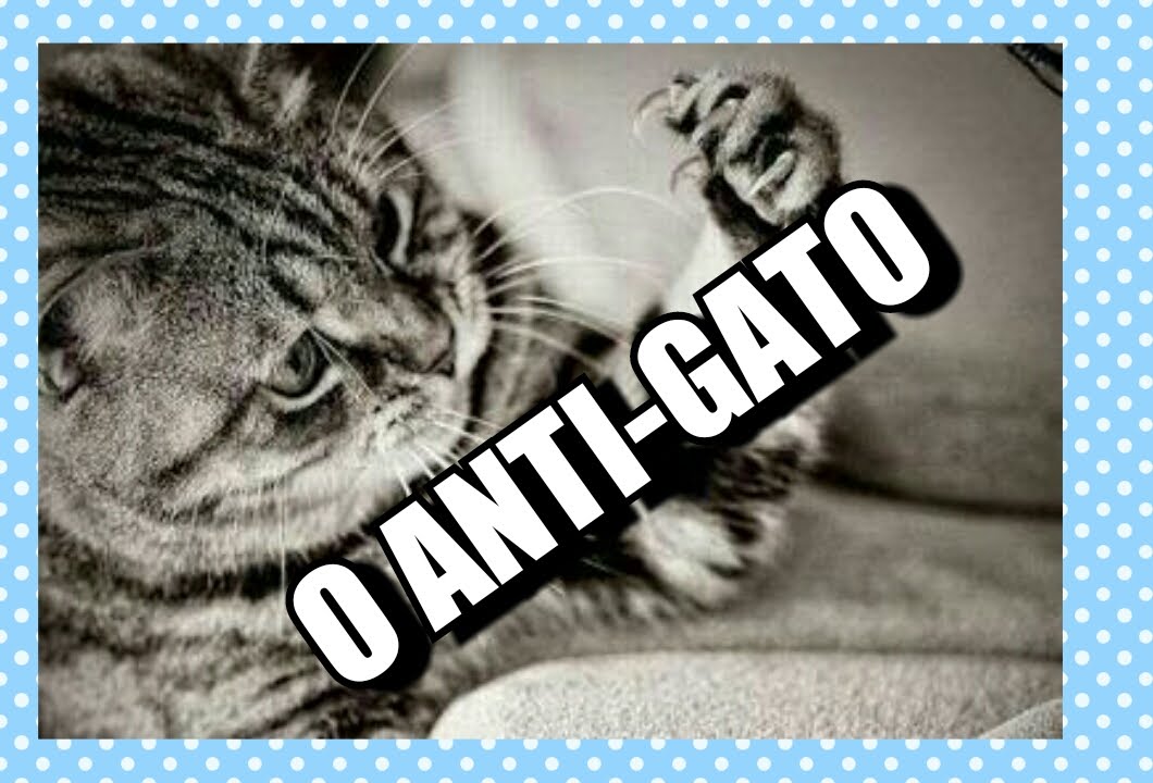 CAPAS PARA SOFÁ COM TECIDO ANTI-GATO - thptnganamst.edu.vn