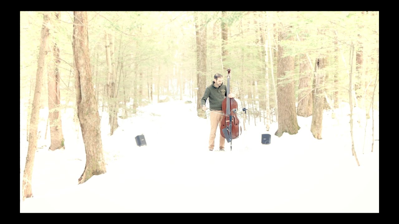Music Meditation in the Woods: Bass Improvisation Outdoors