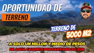 OPORTUNIDAD DE TERRENO 5000M2 / 100 x 50 / a solo UN MILLON Y MEDIO de PESOS by Explorando con Sergio Vazquez 456 views 1 month ago 3 minutes, 17 seconds