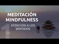 Meditación Minfulness 1/4 | Atención Plena a los Sentidos 🧘🏻‍♀️