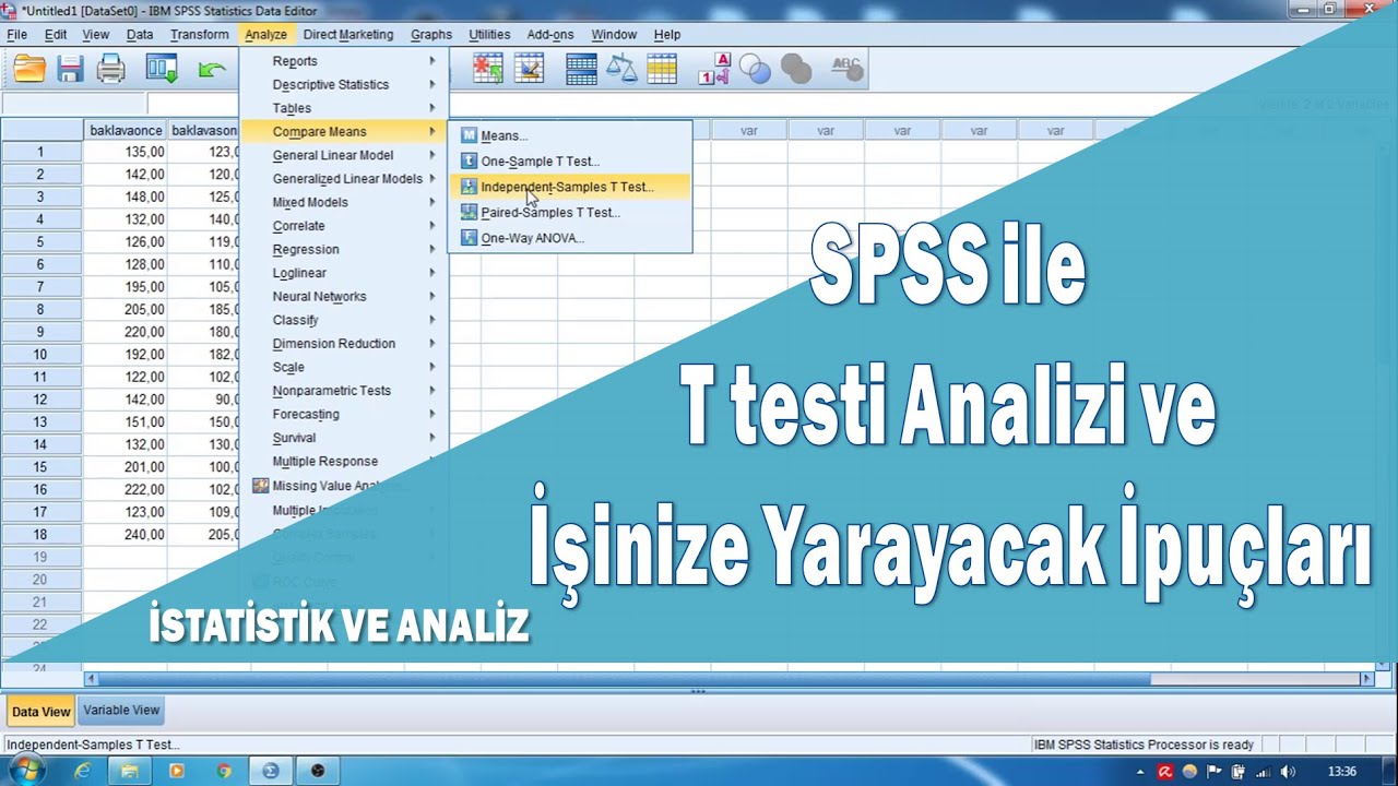 spss t testi spss t testi