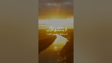 وإِذَا بُشِّر أحَدُهم بِالْأُنثَىٰ ظَلَّ وَجهُهُ مُسْوَدًّا وهُوَ كَظِيمٌ عبدالرحمن مسعد💙تلاوة هادئة