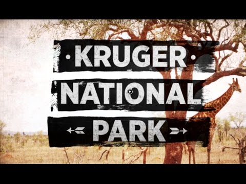Video: Kruger Shalati Lodge Asub Aafrika Rongisilla Tipus