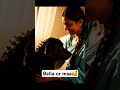 Labrador ka pyaar maa ke liye hota hai 😭 #shorts #youtubeshorts #short #labrador #emostional
