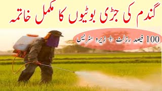 Effective Weed Control for Wheat Crop in 2025: Best Herbicides for Wheat Farming