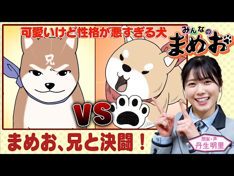 【日向坂46 丹生明里アニメ】まめお、兄と激しすぎる兄弟喧嘩【声優にも挑戦！全話フル公開中Part4】