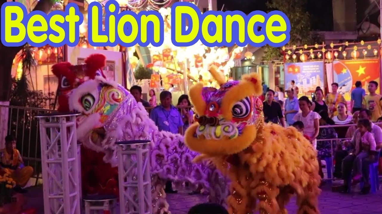 Lion Dance Vietnam 2018 - Múa Lân Mai Hoa Thung LSR Liên Hữu | Street Food And Travel