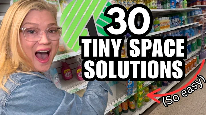 ✨30 CHEAPEST Ways to GET ORGANIZED (Dollar Tree Hacks)