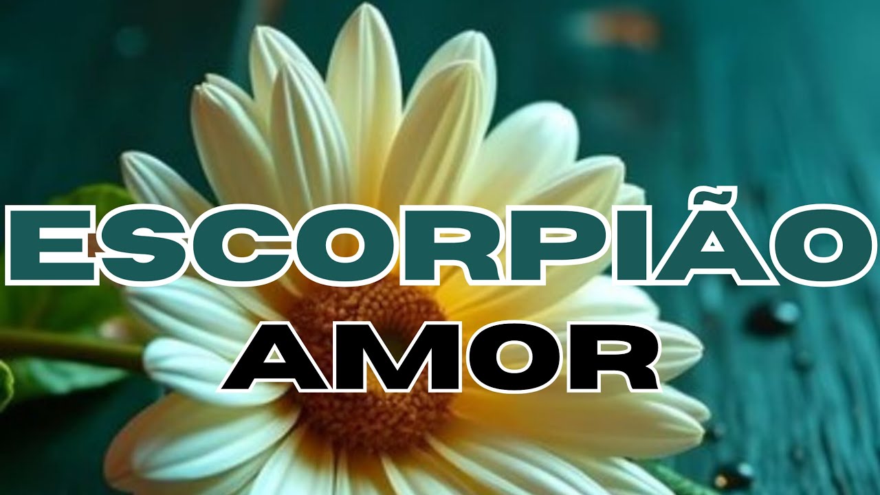 ♏ESCORPIÃO♏AMOR♥️ AMBOS SENTEM MUITA SAUDADE. UMA CONVERSA PODE MUDAR TUDO.🍂💫🌱👑♠️♥️