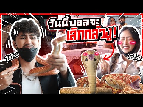ท้าบอลจับงูครั้งแรก!! พาคนกลัวงูมาคาเฟ่งู
