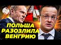 Сийярто высмеял Туска! Политический скандал между Венгрией и Польшей
