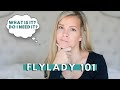 THEY FLYLADY SYSTEM 101 | What is the FlyLady System? | The Best Cleaning Routine | Clean with Me