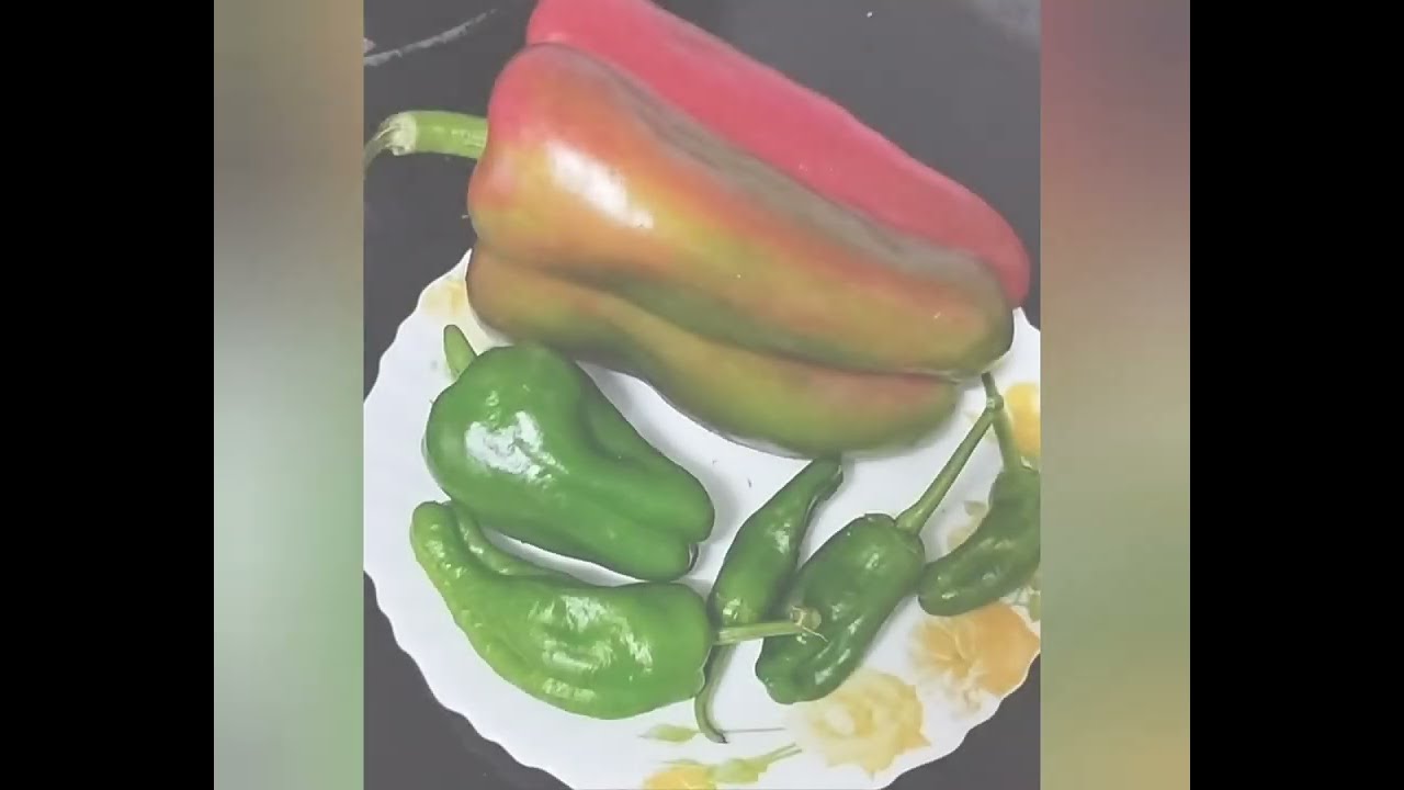 La huerta en Galicia | Algunos de los muchos beneficios de la vida en los pueblos #cultivo