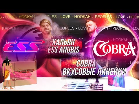 ТАБАК COBRA И КАЛЬЯН ESS HOOKAH ANUBIS