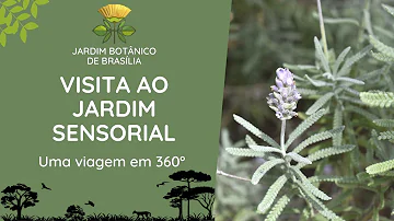 Qual o objetivo do jardim sensorial?