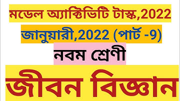 Class 9,Model activity task,part 9/January 2022 /Life science