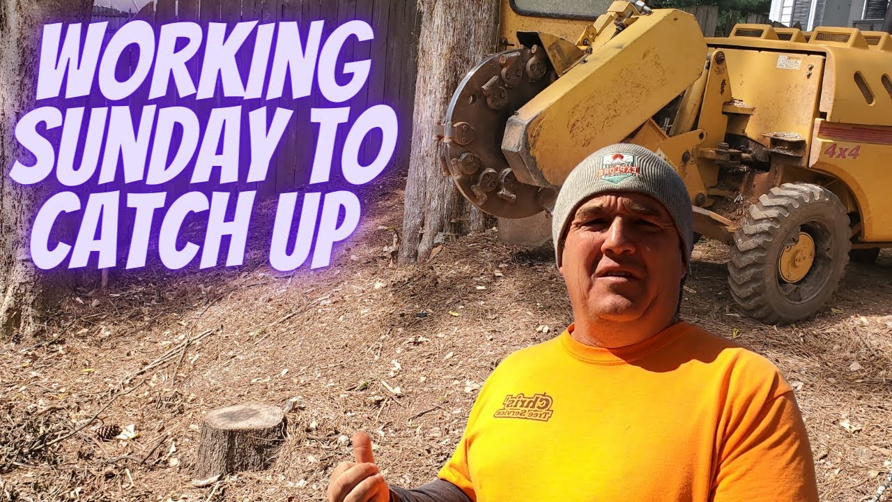 "Sunday Stump Grinding: Tackling Small Stumps & Catching Up!" - YouTube