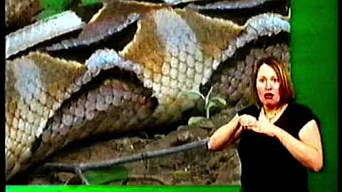 Life in Cold Blood S1E4 clip