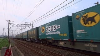 JR貨物 遅1050レ EF210-149[吹]号機＋コキ26両・ネコロジー搭載