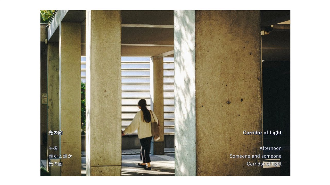 What I saw that day #46 秋の影｜Shadows of Autumn - YouTube