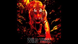 Wild Tigerphonk