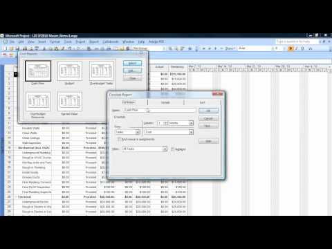 MSP CashFlowReport.mp4