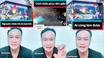 Nguyên Nhân Hồ Cá Koi Bị Bọt Khí - Cách Khắc Phục Hiệu Quả Ai Cũng Làm Được | Nhân Vlog 1989.